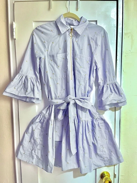 Derek Lam 10 Crosby Blue Striped Embroidered Gold Shirt Dress Size 4 - Picture 2 of 7